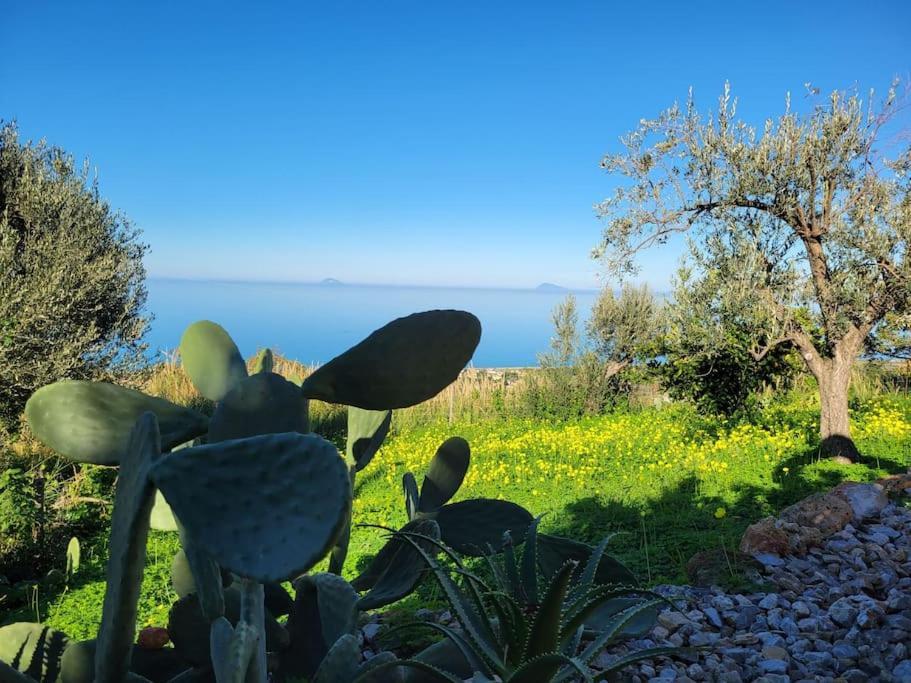 Appartamento Origano Acquedolci Eksteriør bilde